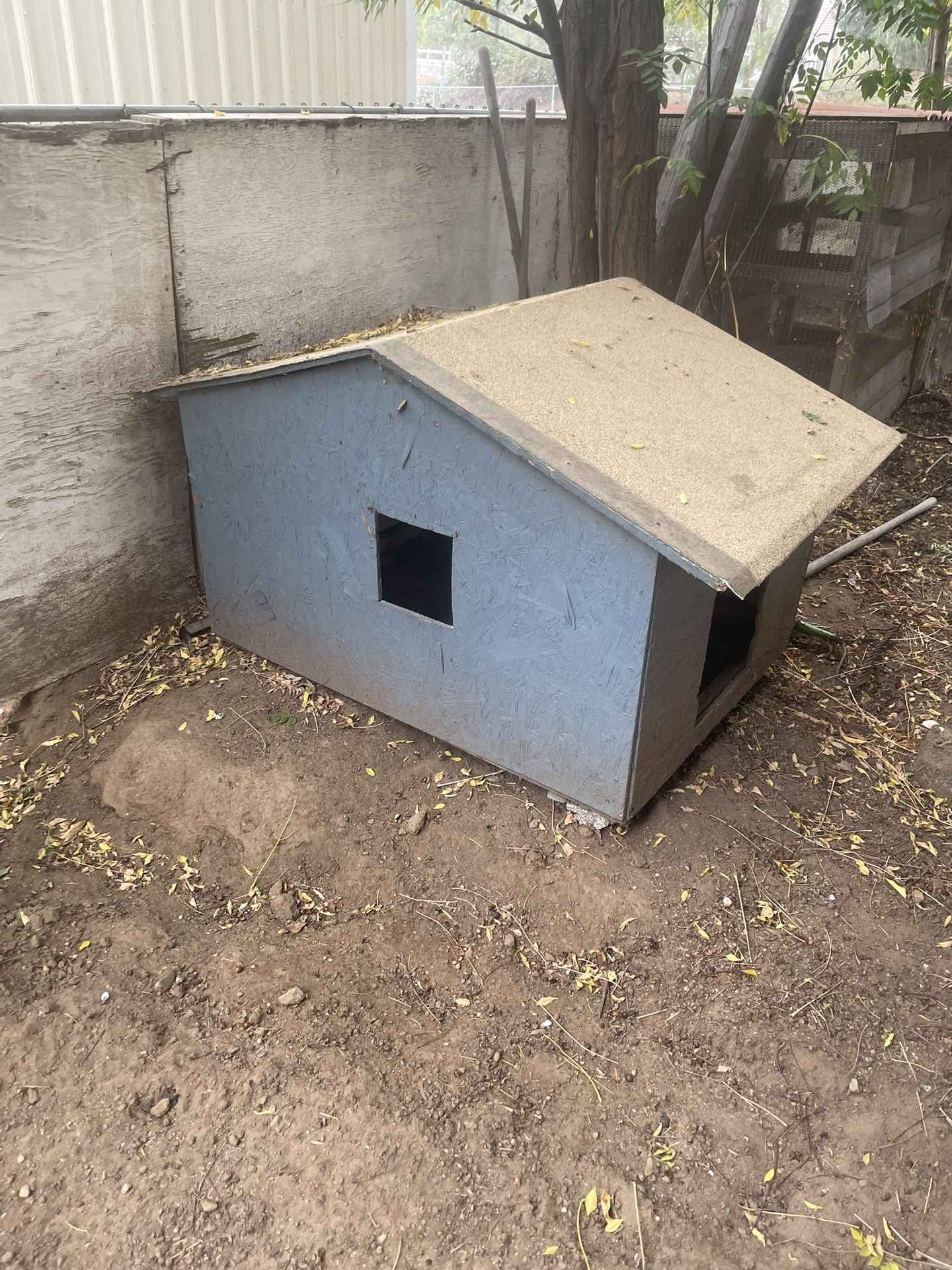 Dog House 
