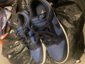 Nike Dunk Low Blue and Black size 11
