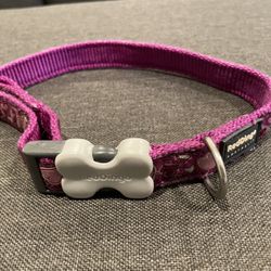 Red Dingo Adjustable Dog Collar