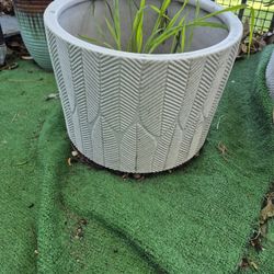 Flower Pot