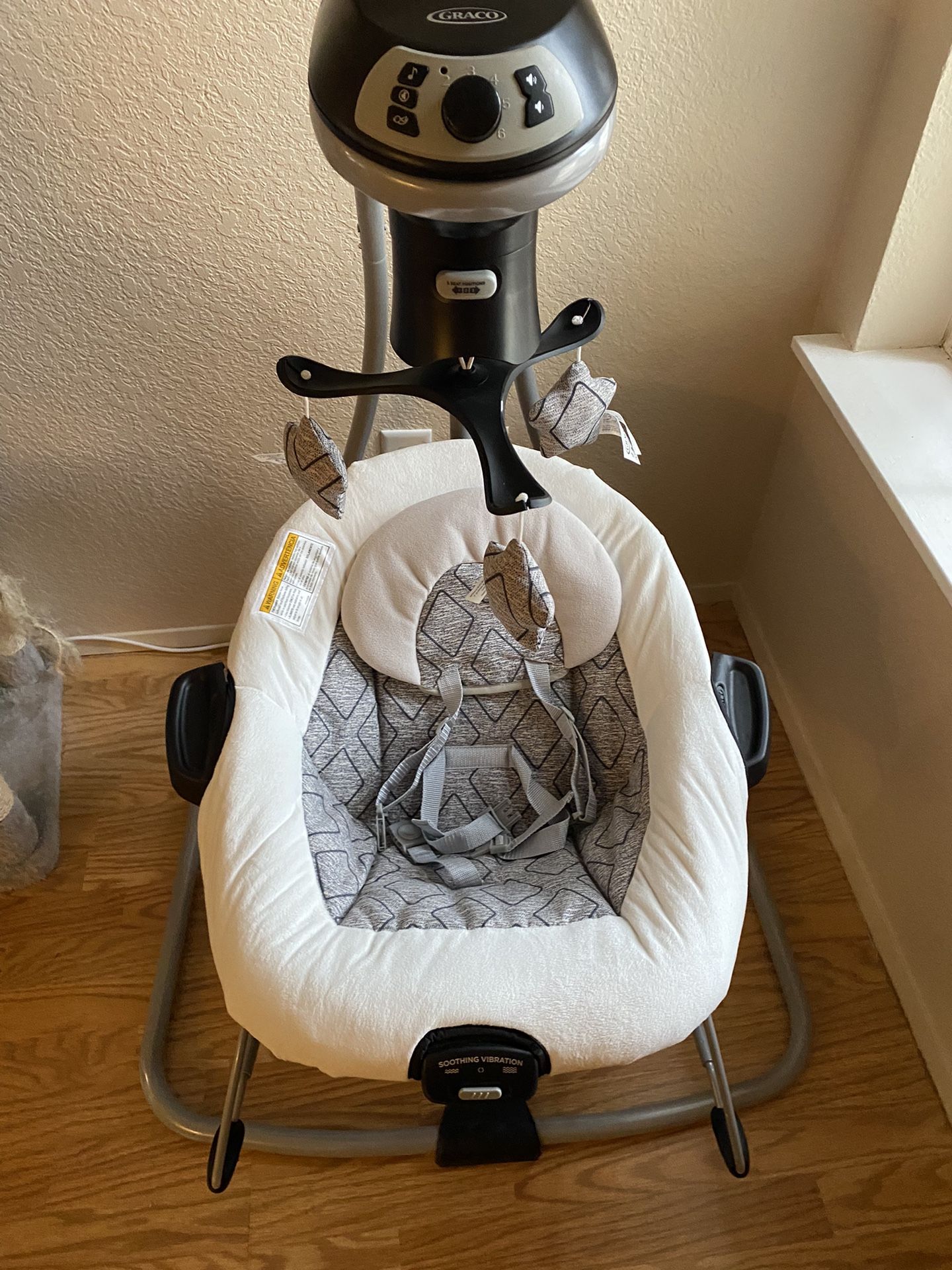 Graco Swing & Bouncer