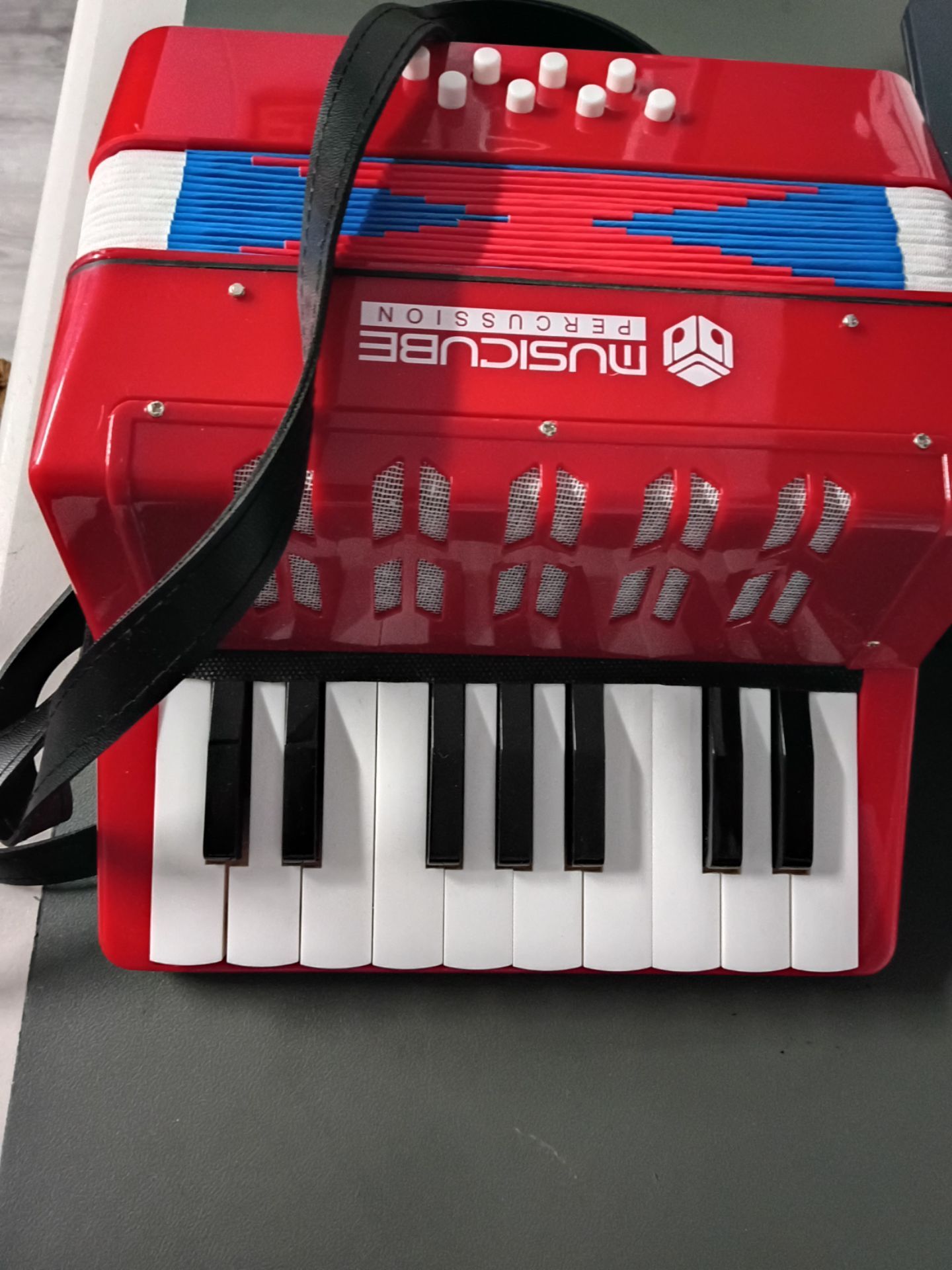 Kids Accordion