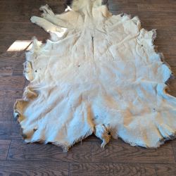 Authentic Cow Elk Hide – Large Hair-On Rustic Rug / Lodge Décor