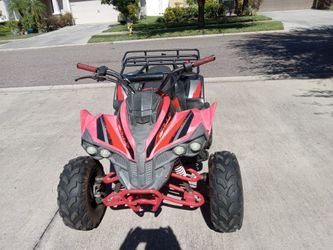 Quad kids