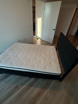 FREE BED TODAY
