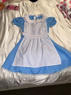 Alice in wonderland adult size small