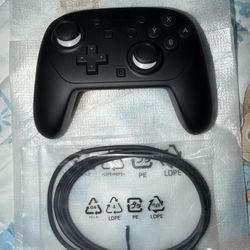 Nintendo Switch 2 Pro Controller