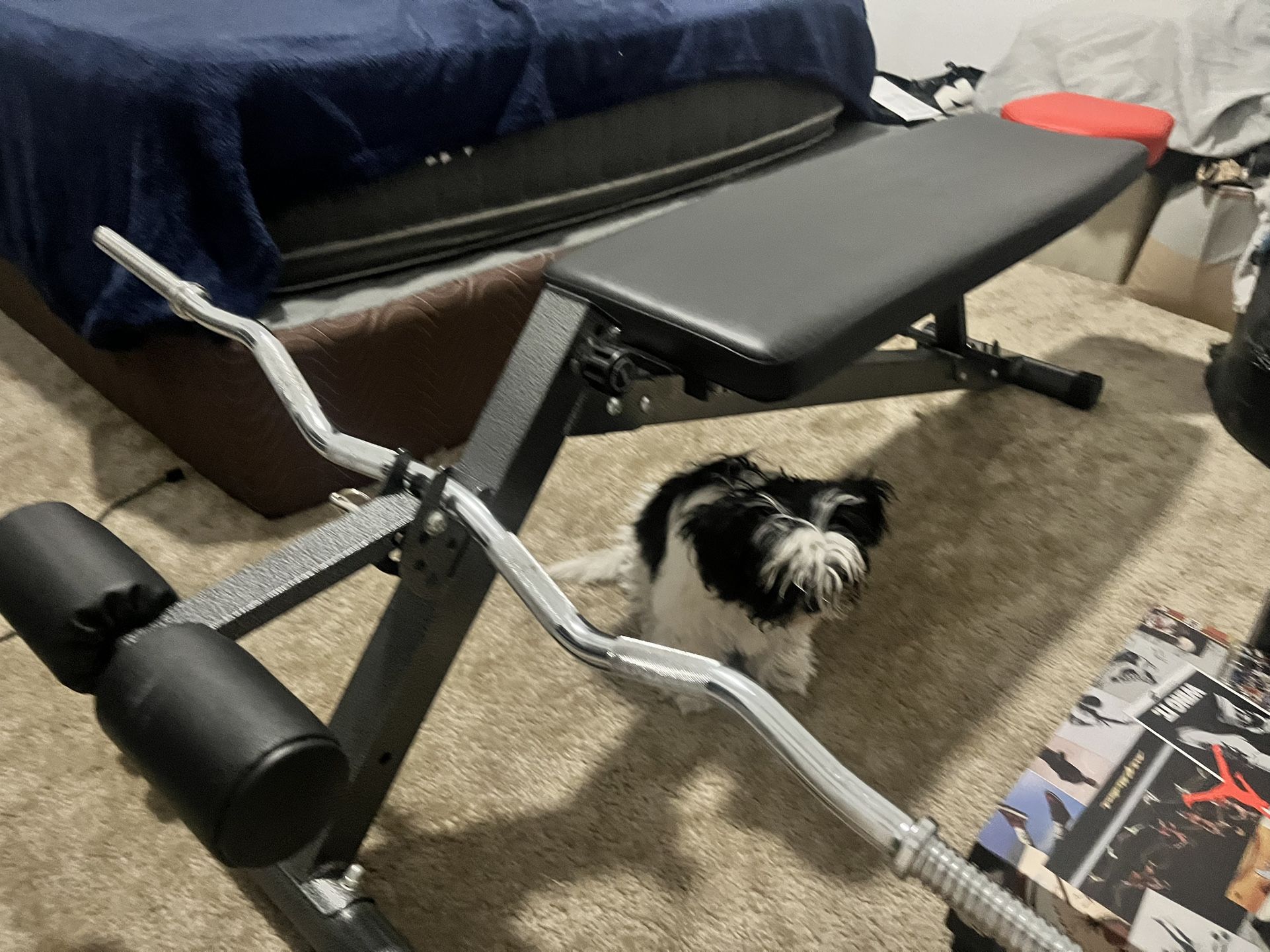 Finer Form Bench Press With Bar,New Products : American Fashion Style Bags On Sale