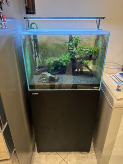 Landen aquarium fish tank