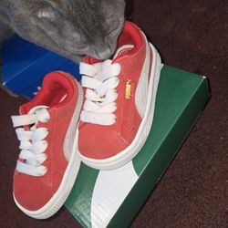 Red-white Puma suede Kids 5C w/box