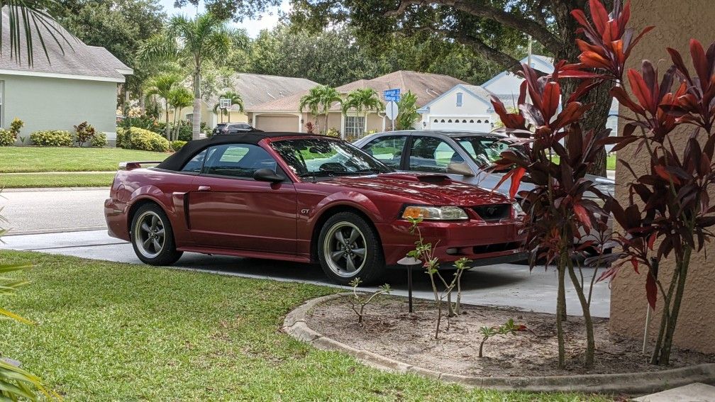2003 Ford Mustang