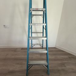6ft Werner Ladder $50