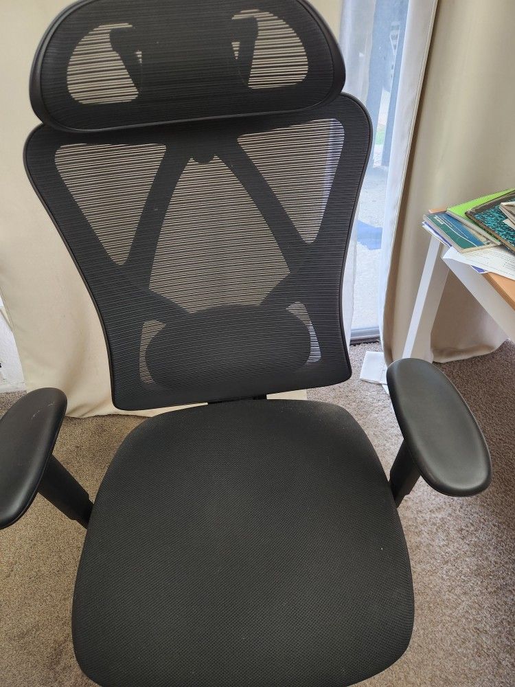 Ergonomic Office Chair
