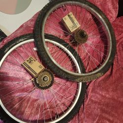 2 RAMES WITH VERY GOOD TIRES AND NEW TUBES 26INCH RIRE7SPEED VERY GOOD CONDITION 