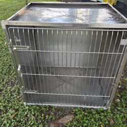 Commercial Dog Box