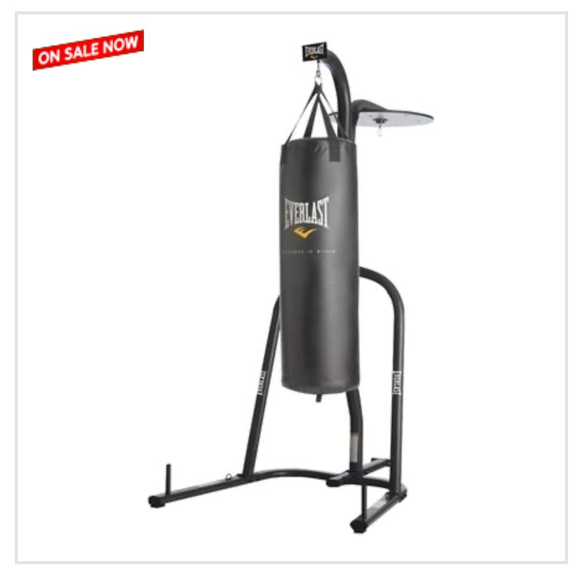 Everlast Boxing Kit