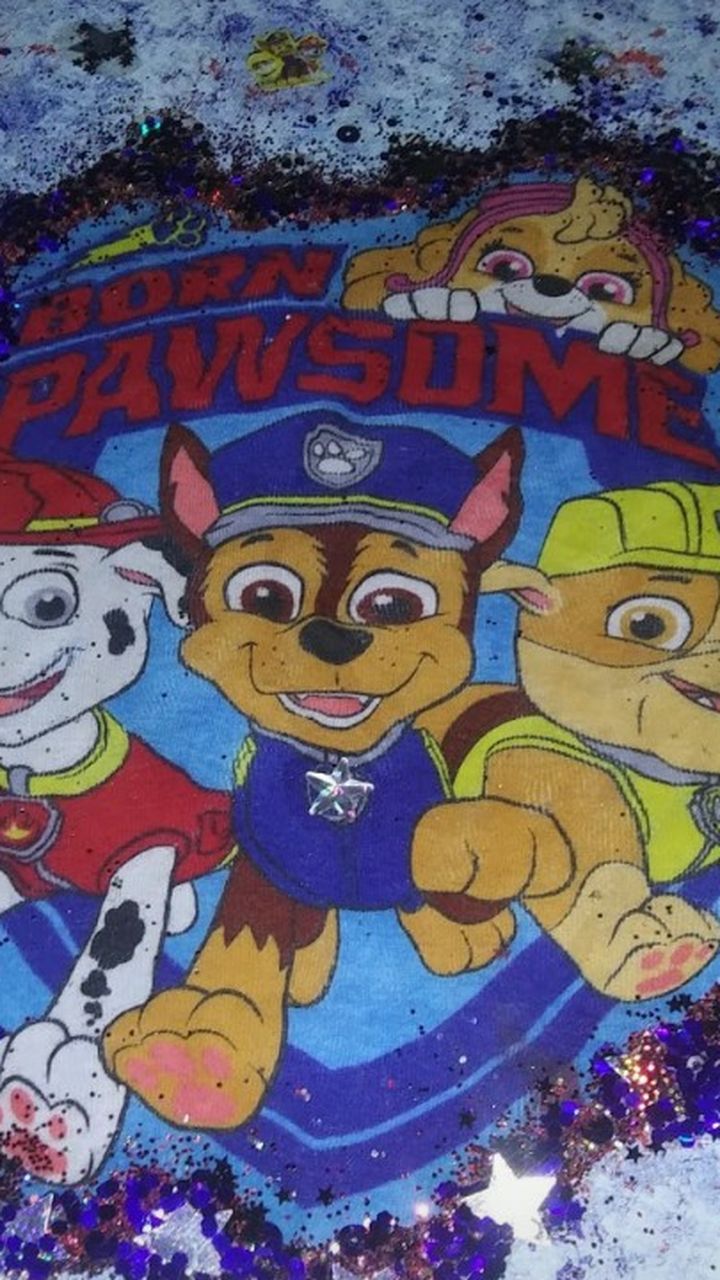 Paw Patrol Toy Chest. Dresser. Pop Up Tent .comforter.sheets And Pillow Case All For One Price