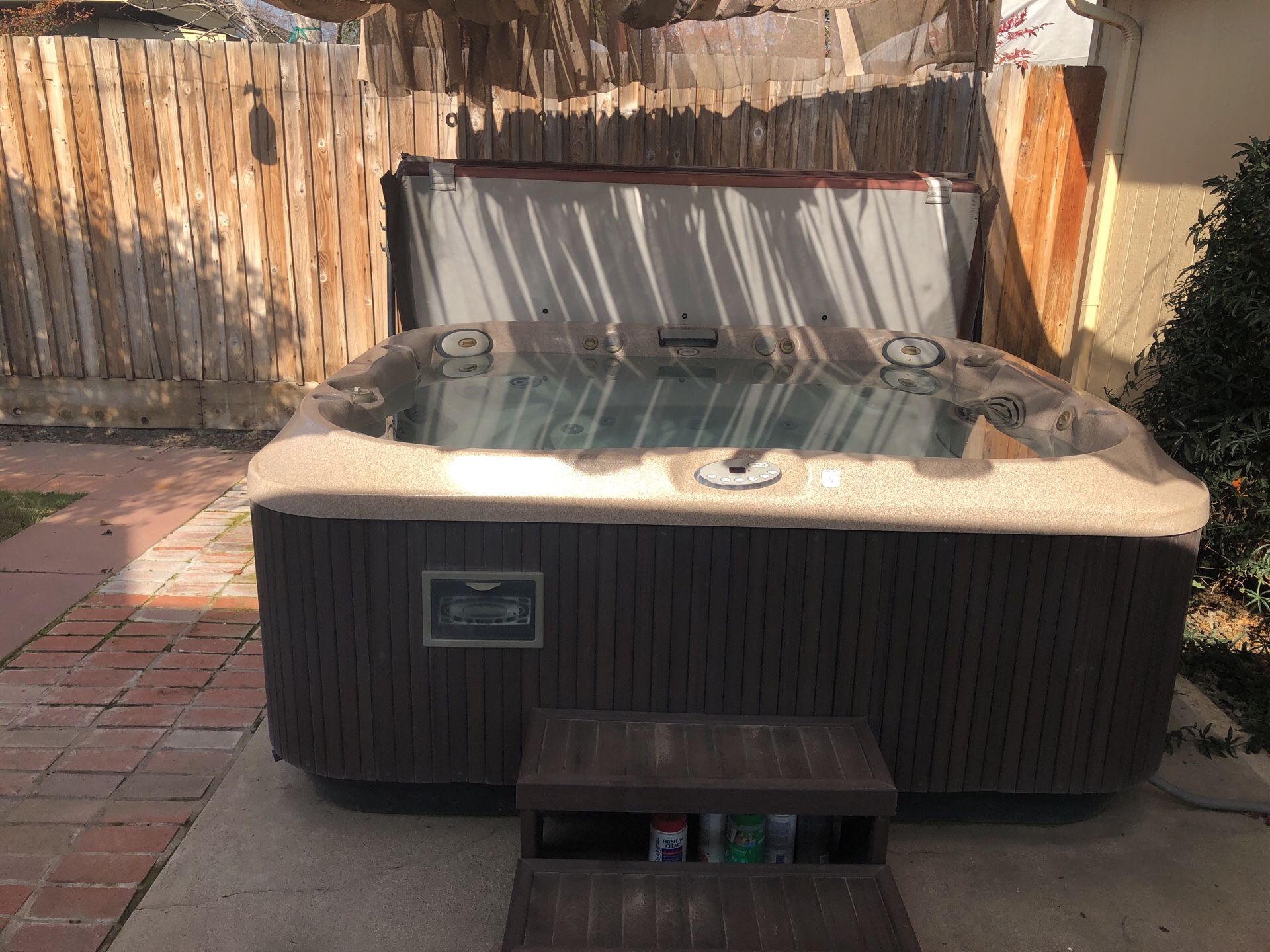 Jacuzzi 50th Anniversary model hot tub and spa great condition