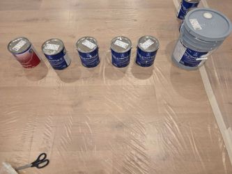 Sherwin Williams Samples- Warm Whites