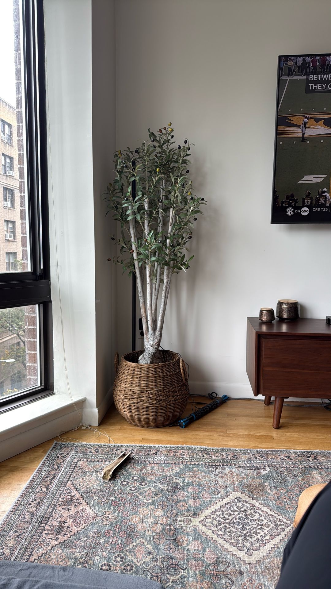 Fake Olive Tree