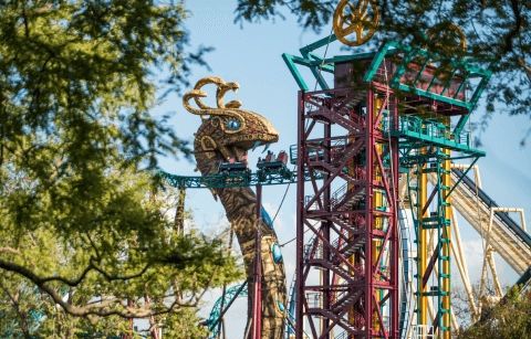 Busch Gardens One Day Entry