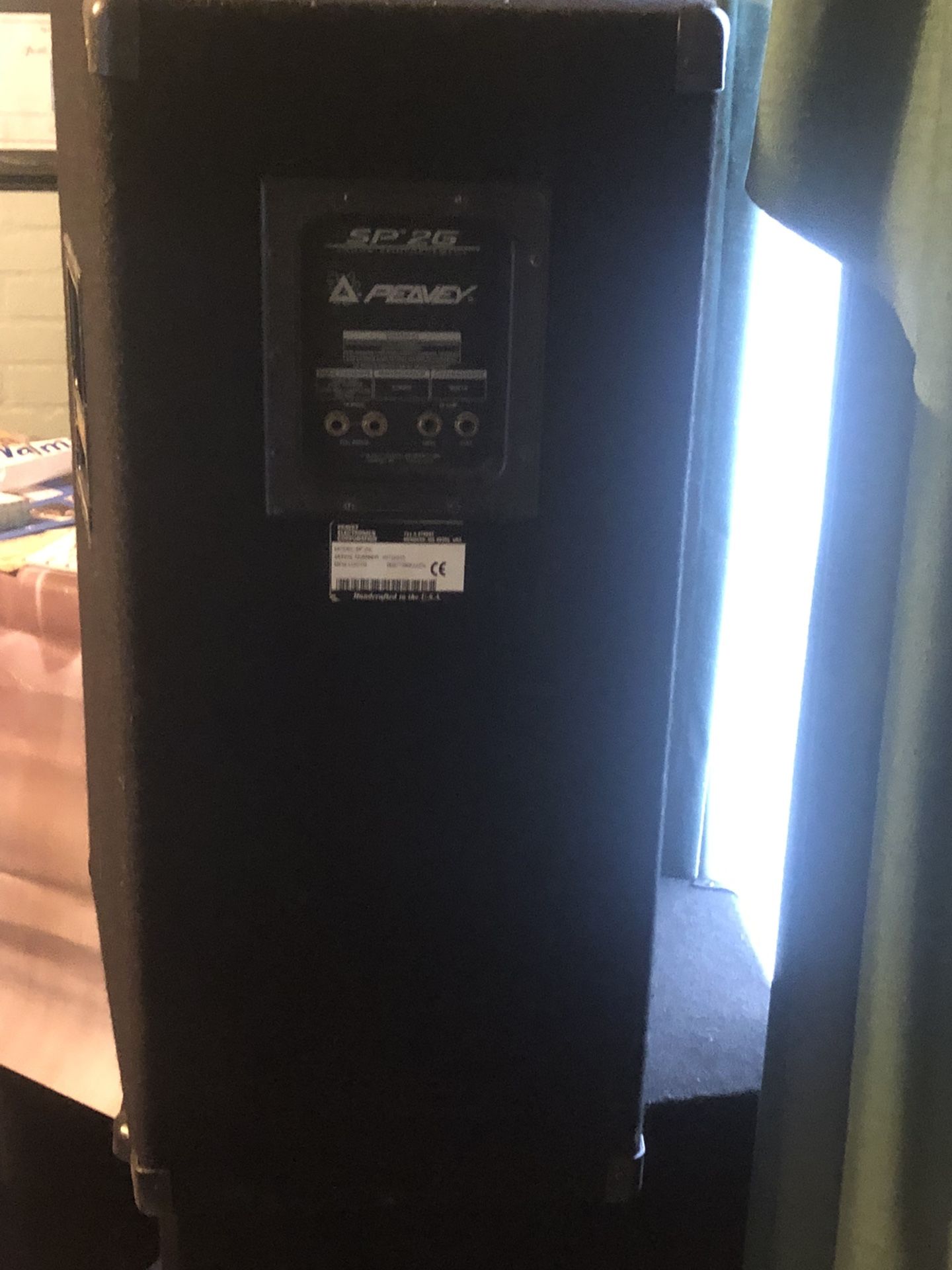 SP2G Peavey (needs minor Repair)