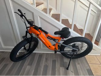 Puckipuppy Labrador E-Bike Fat Tire