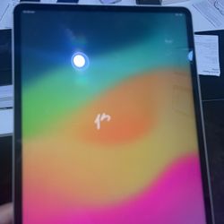 Apple iPad Pro 12.9” 5th Gen 256GB Silver WiFi + LTE