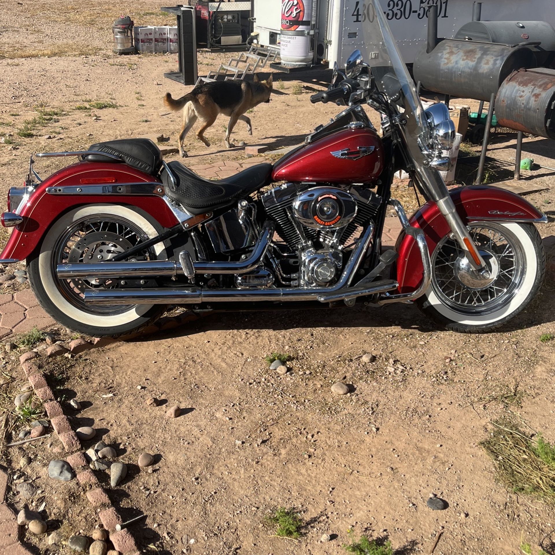 2009 harley 2024 davidson deluxe