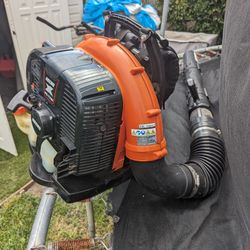 Echo Blower 