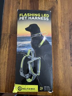 Dog Harness