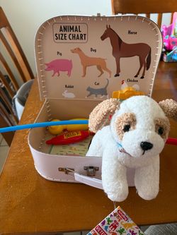 Schylling Veterinarian Kit Pretend Play Set – Complete with Accessories & Bonus Plush Dog!