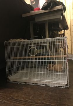 Birdcage