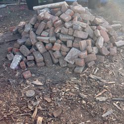 Bricks