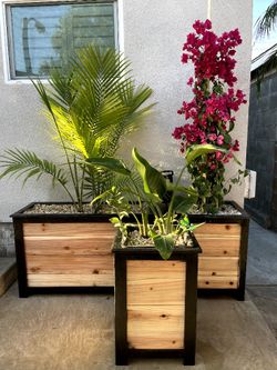Cedar Planter For Sale 