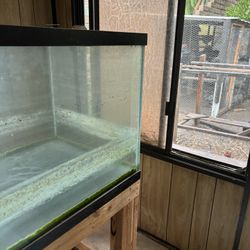 Fish Tank for Chicks 