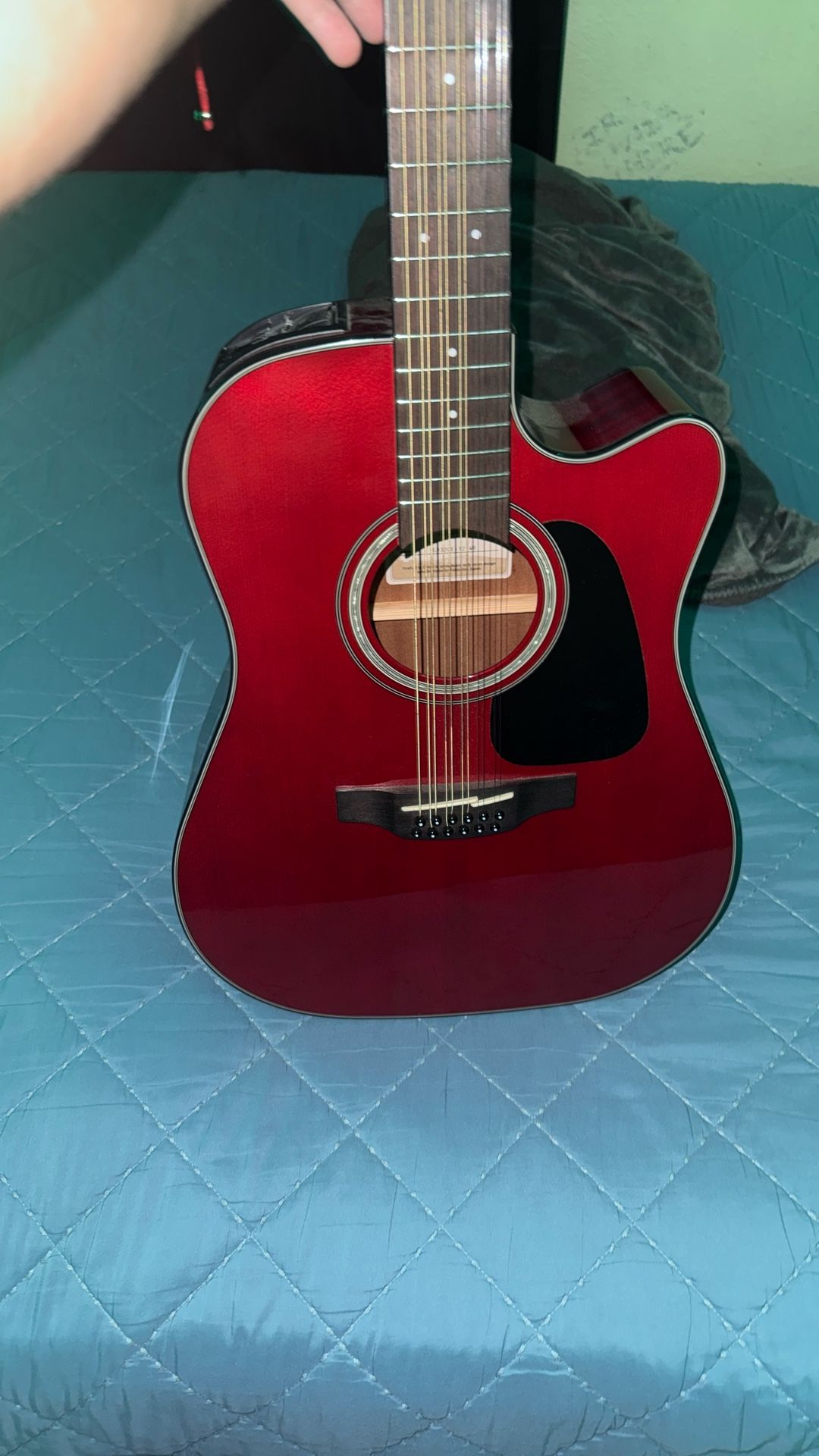 takamine g series