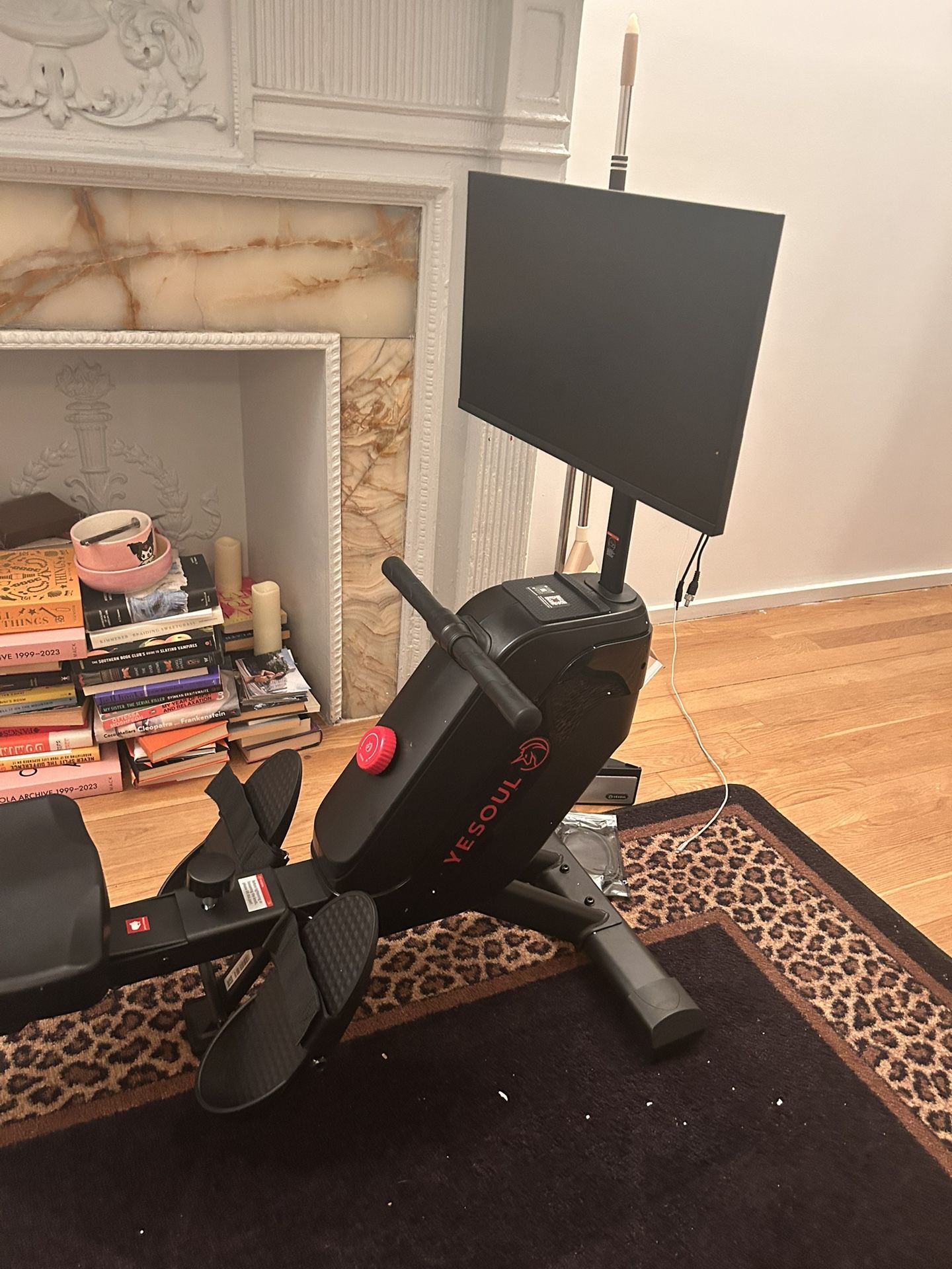 Brand New Row Machine With Tv