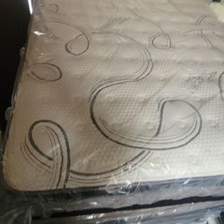 Full Organic Cloud Edition 12in Europillowtop 