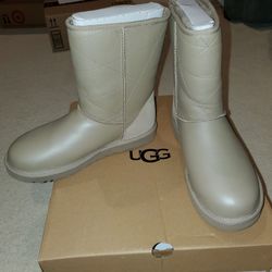 Womens Ugg Boots Size 10, New In Box
