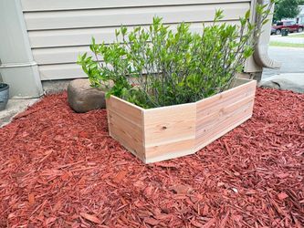 Dying for more plants?