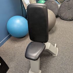 Nautilus Upright Bench 