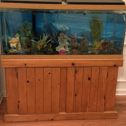 75 Gallon Fish Aquarium &Stand