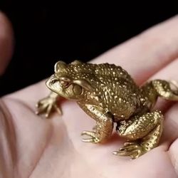 Brass Toad Statue with Copper Coin for Feng Shui Wealth - Suitable for Indoor And Outdoor Decor