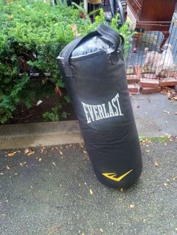 Like New Ever Last Punching Bag With Stand 