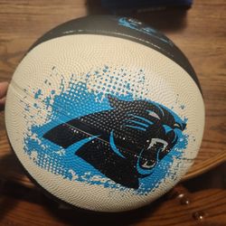 Carolina panthers basketball