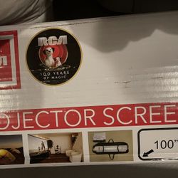 Screen projector