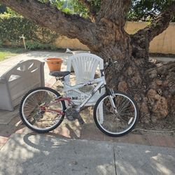 bicycle is a Rhino brand mountain bike