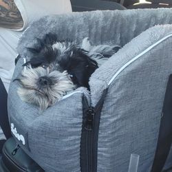 Dog Carseat