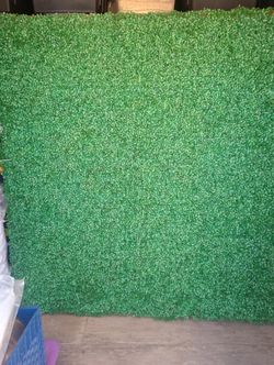 Green Hedge